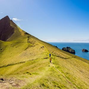 Upplev Islands magiska natur med hyrbil.