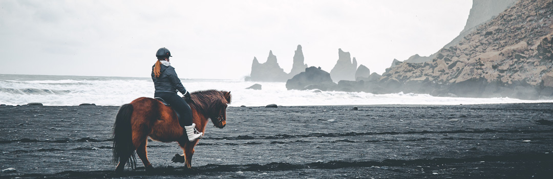 Riding på svart strand, Island.