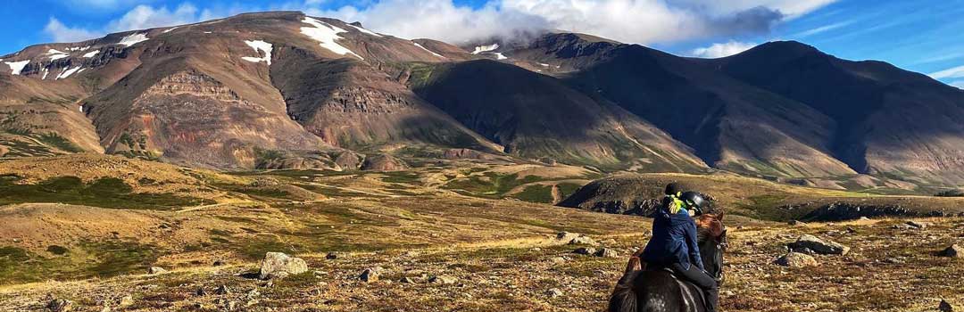 Horse riding in Iceland @Suewherewhywhat