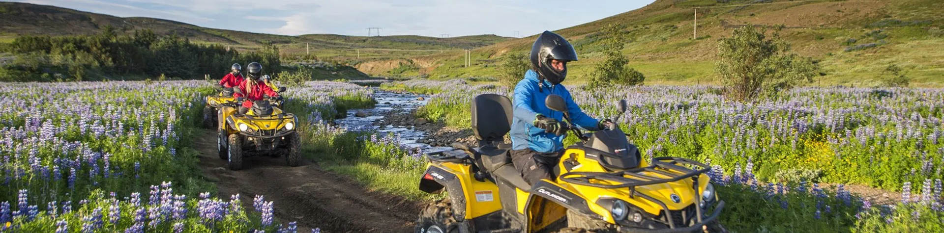 ATV & Valskådning (09:00/8 tim) (H02)