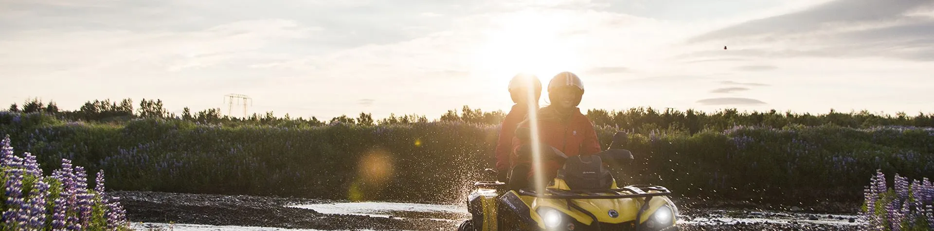 ATV & Valskådning (09:00/8 tim) (H02)