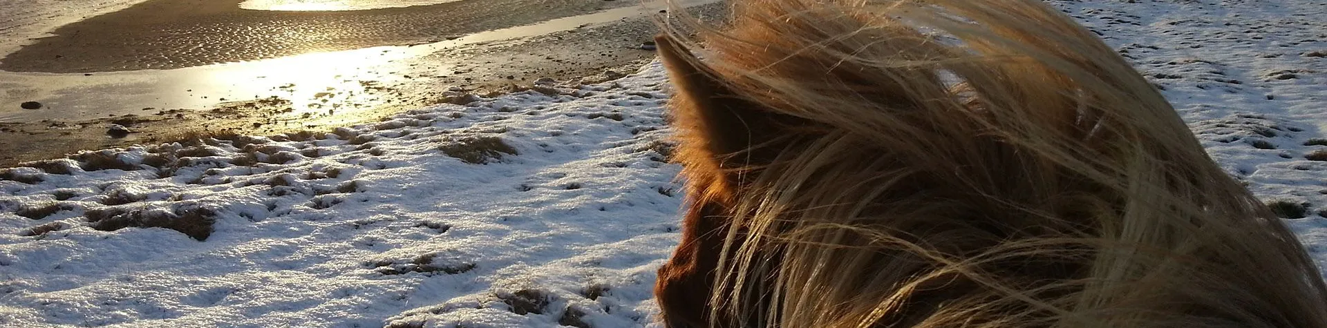 Till flodens strand (08:00/5 tim/2,5 tim ridning) (C08)