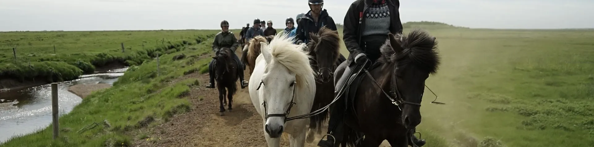 Ridtur & Gullfoss och Geysir (08:00/9,5 tim/1,5 tim ridning) (C04)