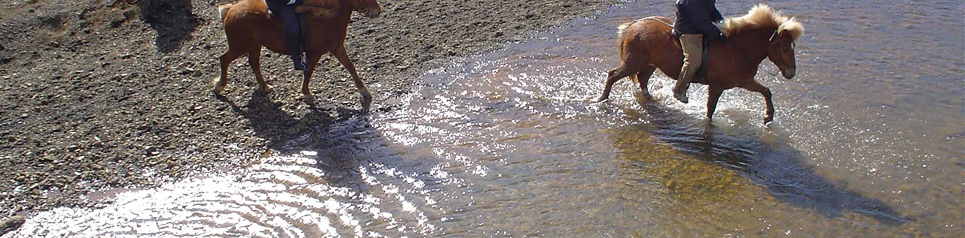 Ridtur & Gullfoss och Geysir (08:00/9,5 tim/1,5 tim ridning) (C04)