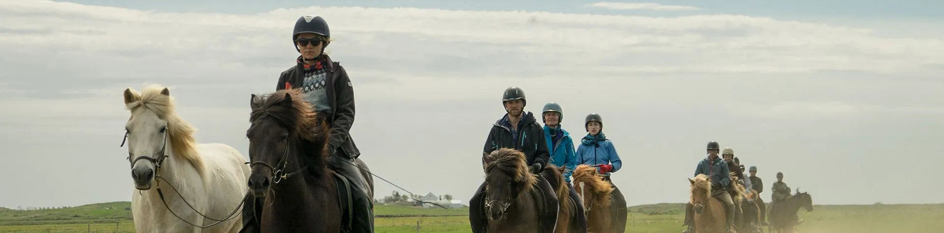 Ridning & Vandring till Reykjadalur (08:00/8,5 tim/1,5-2 tim ridning) (C05)