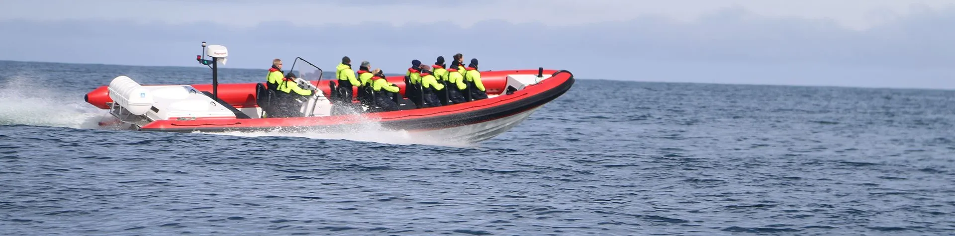 Valskådning med ribbåt (13:00/3 tim) (T07)