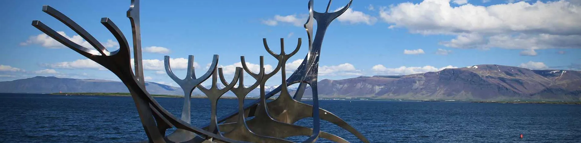 Stadsrundtur i Reykjavík (09:30/2,5 tim/svensktal. guide) (B03)