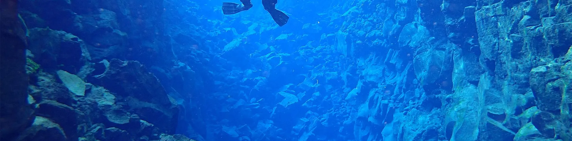 Snorkling i Silfra (08:00/5 tim) (G14)
