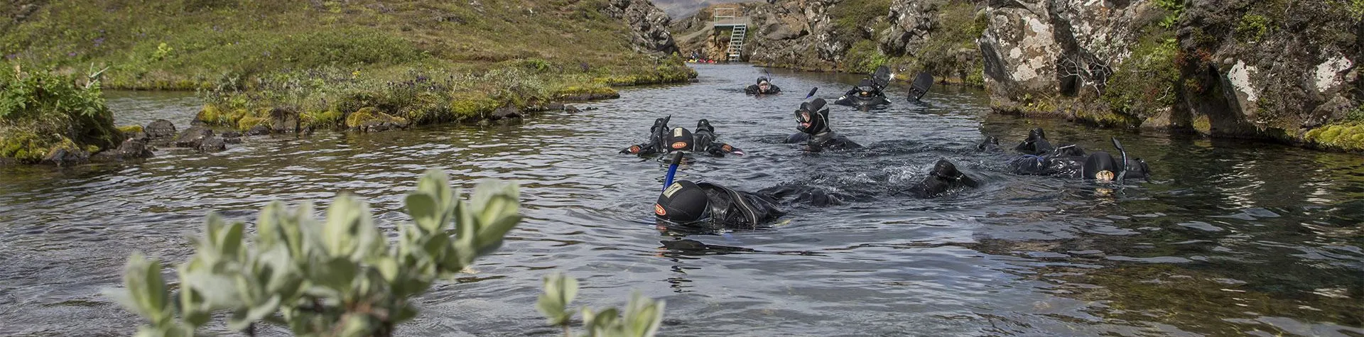 Snorkling i Silfra (08:00/5 tim) (G14)