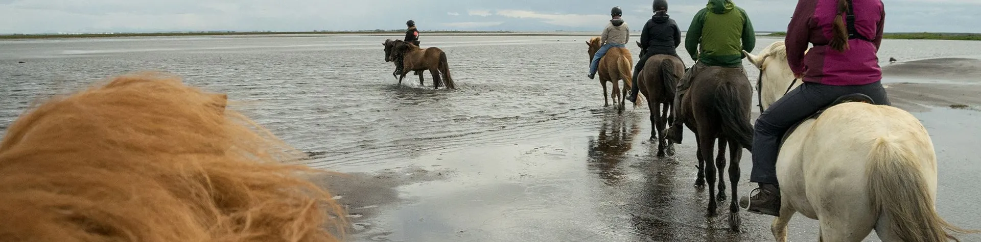Strandritten (08:00/8 tim/5 tim ridning) (C14)