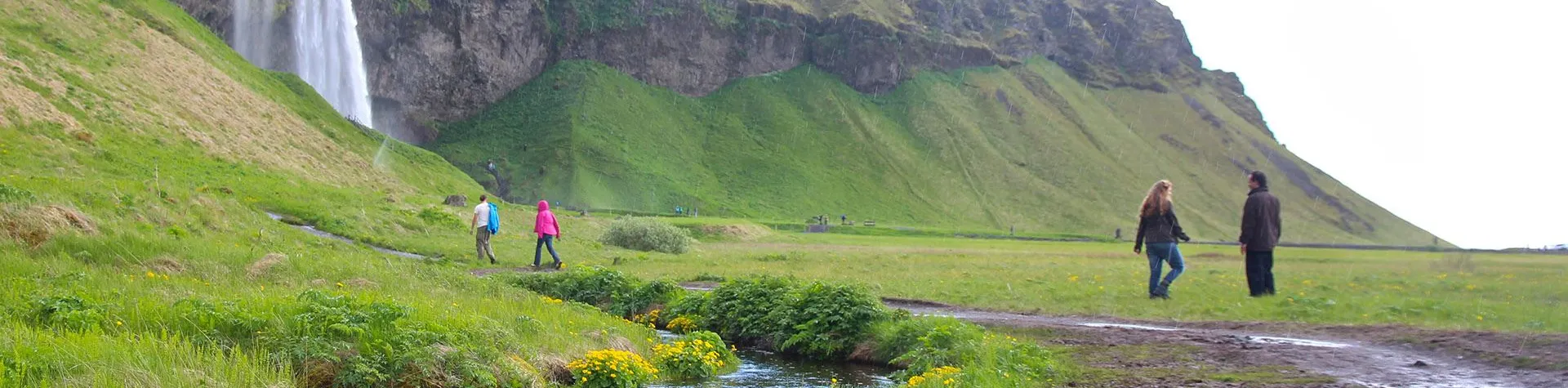 South Coast & Glacier Hiking (08:30/10 tim) (A14)