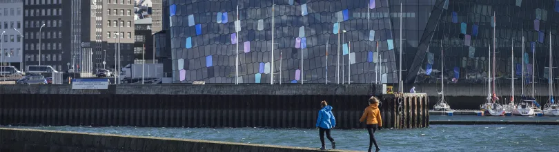 Harpa Reykjavik