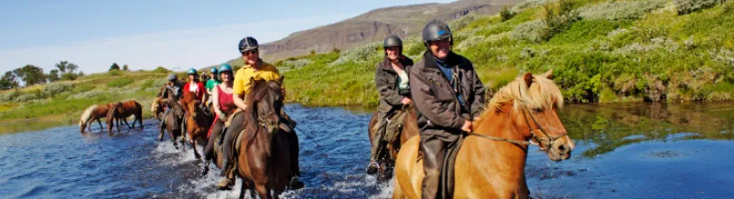Ryttare på islandshästar rider genom ett grunt vattendrag i ett grönt landskap.
