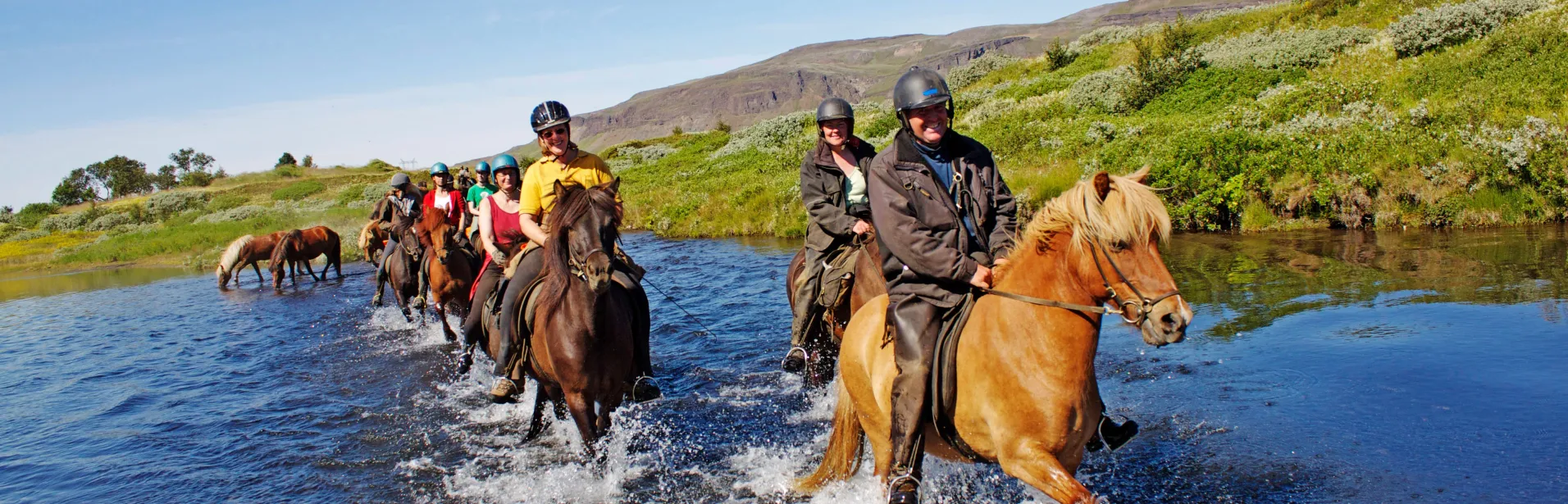 Ryttare på islandshästar rider genom ett grunt vattendrag i ett grönt landskap.