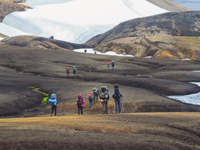 Utforska Island med guide och grupp.