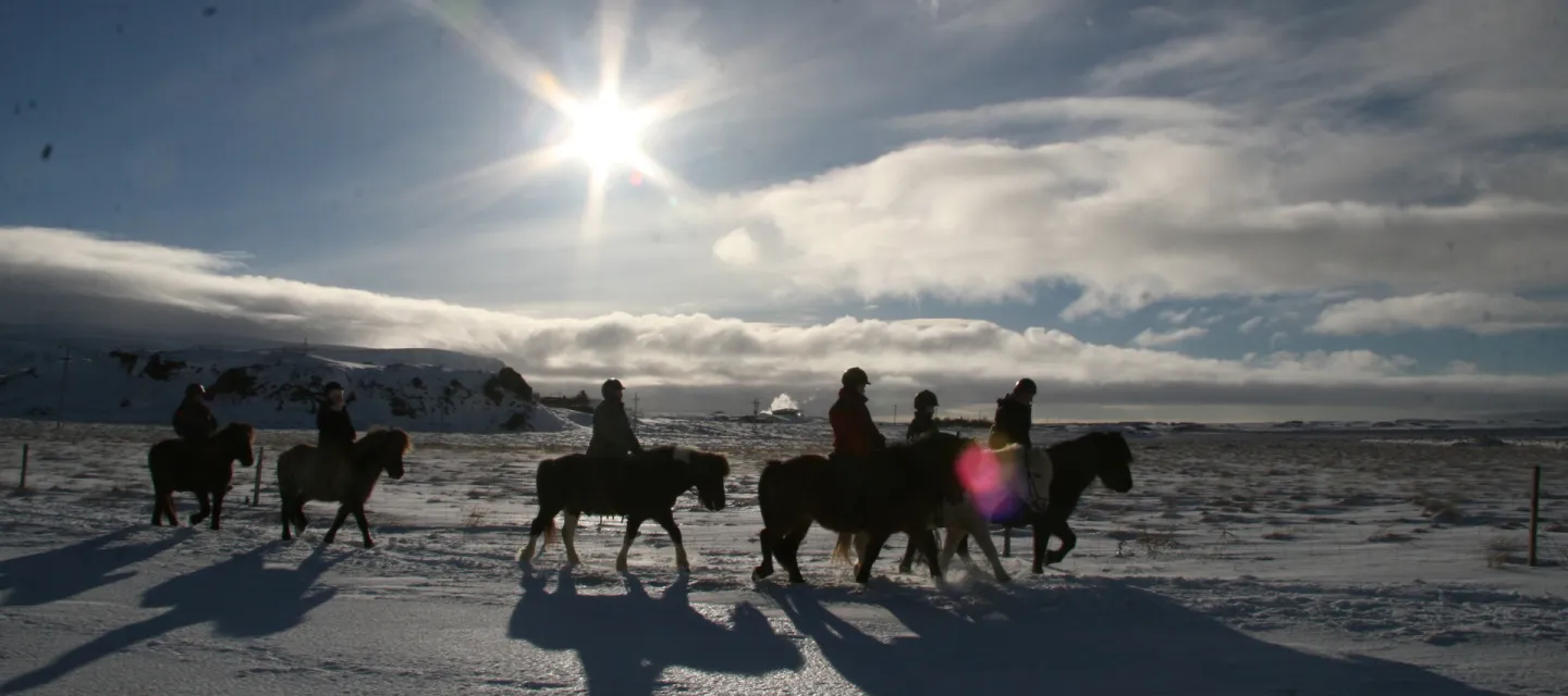 Ridning vinter Island